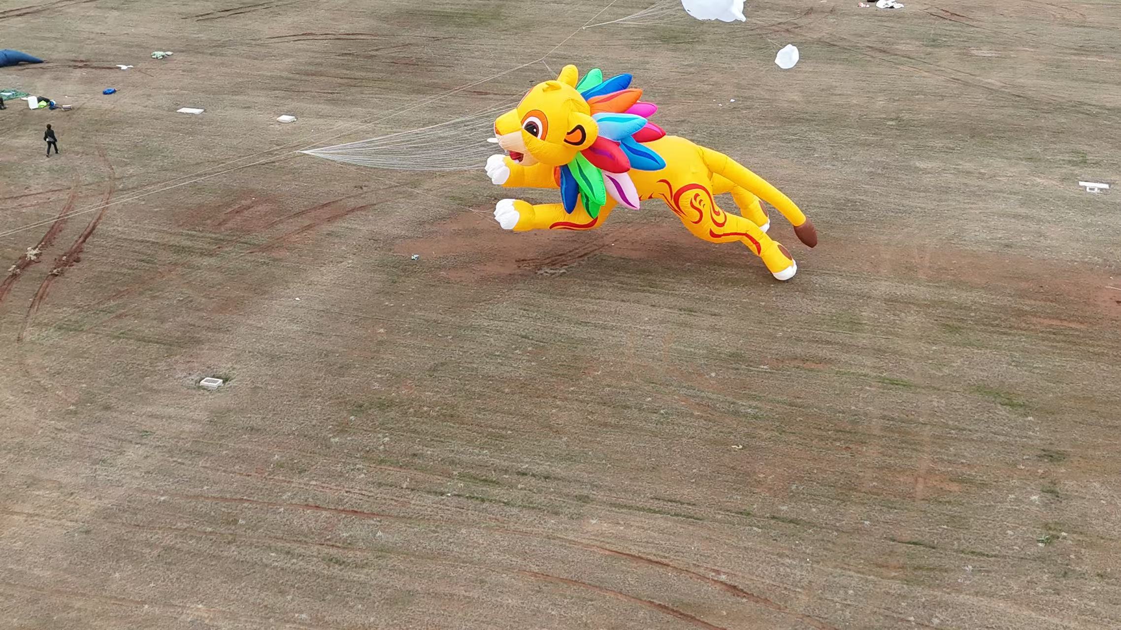 榆林市品牌风筝定制儿童风筝定制 - 哪里好