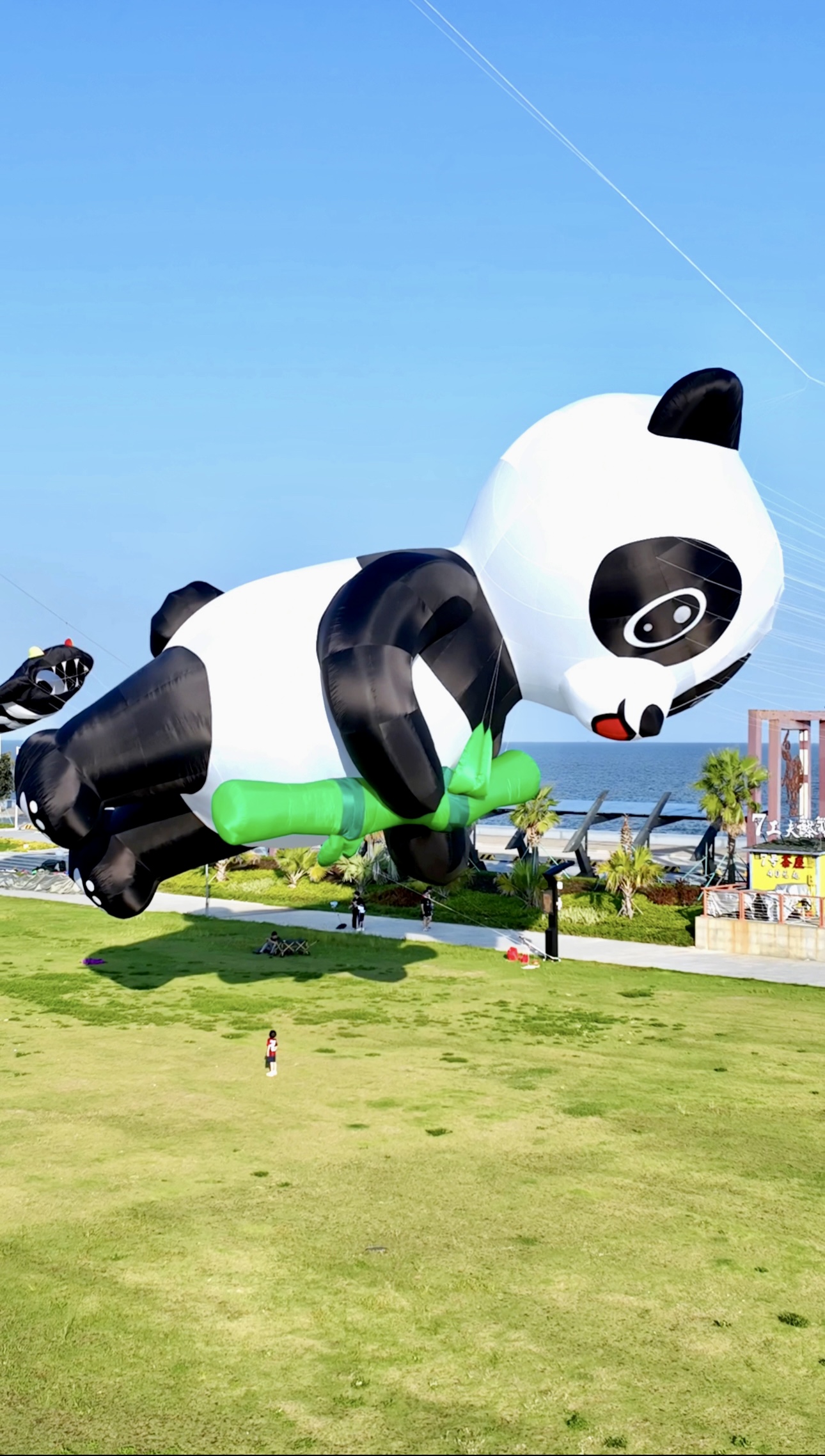 榆林市软体风筝定制风筝放飞活动策划 - 一站式服务