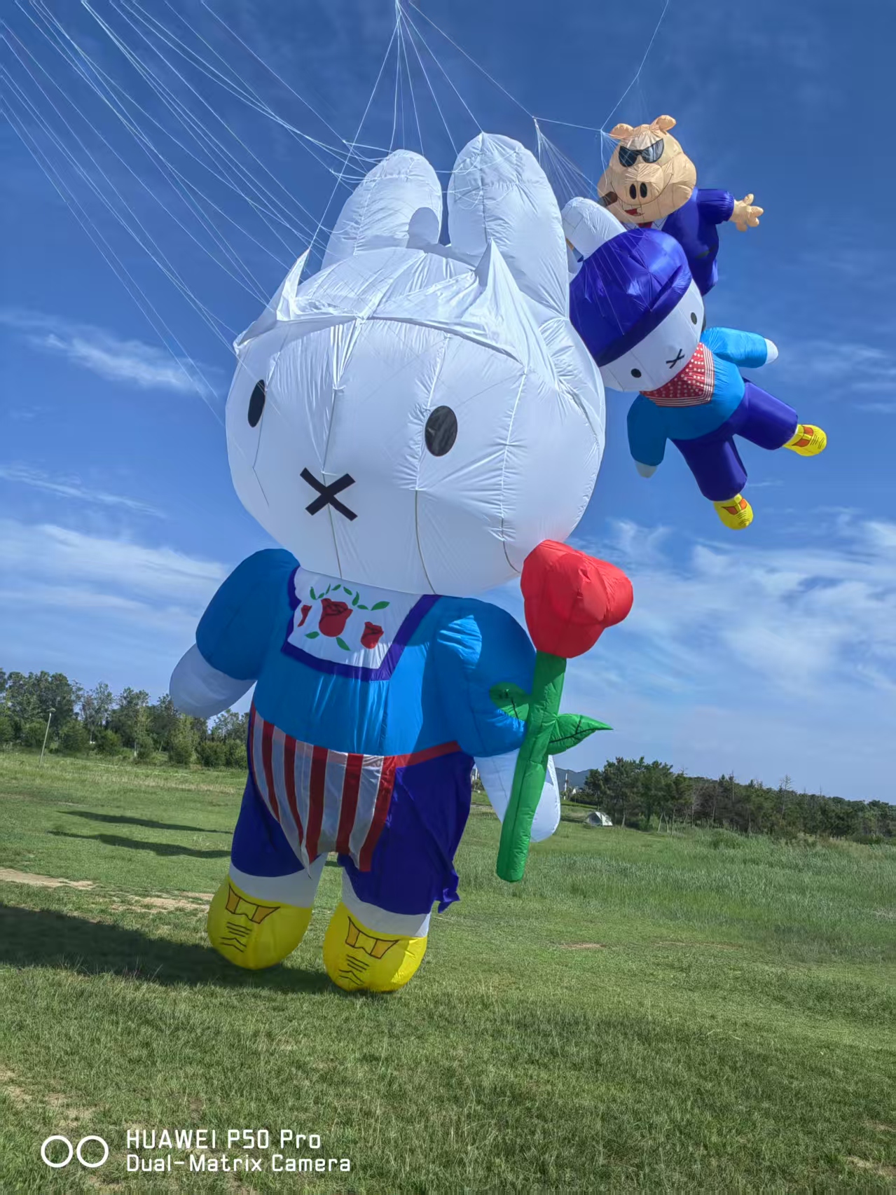 榆林市儿童风筝定制风筝DIY - 一站式服务